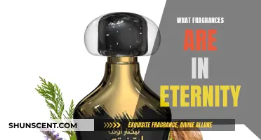 Eternity's Fragrance Notes: A Guide to the Scents