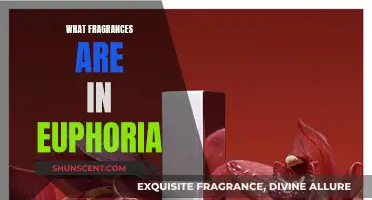 Uncover the Secrets: Euphoria's Captivating Fragrance Notes