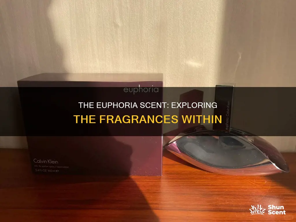 what fragrances are in euphoria