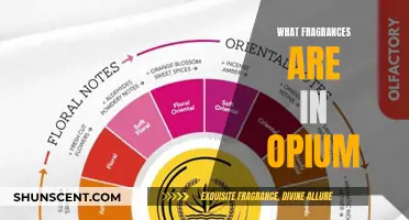 Opium's Fragrance Notes: Exploring the Scents of the Perfume