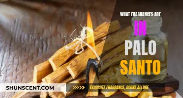 Unveiling the Aromatic Secrets: Exploring the Fragrant Notes of Palo Santo