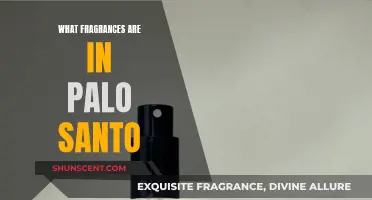 The Soulful Scents of Palo Santo: A Guide to Its Fragrances