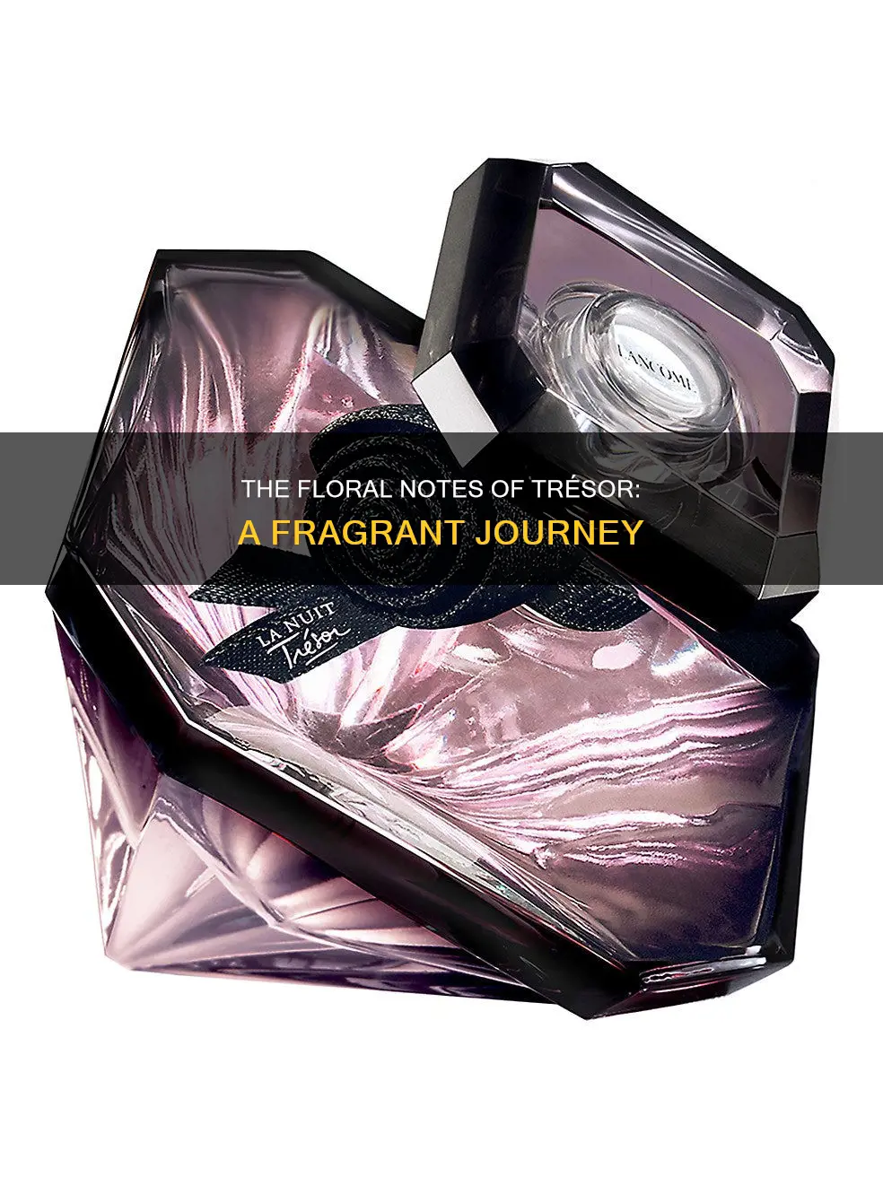 what fragrances are in tresor
