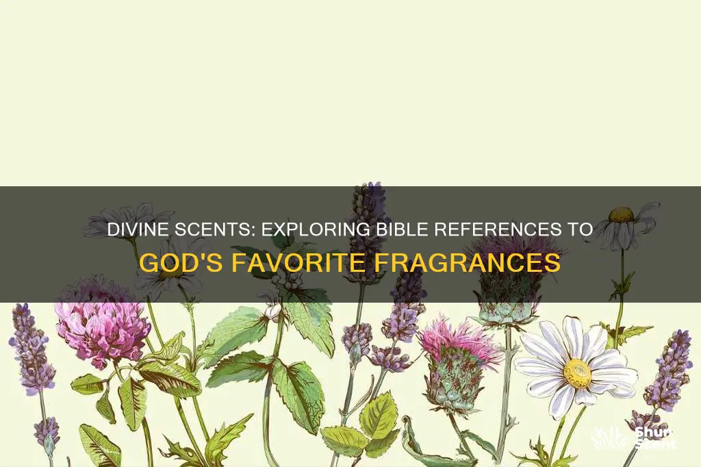 what fragrances are pleasing to god bible