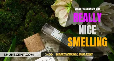 The Best Fragrant Scents: A Guide to Nice Smelling Fragrances