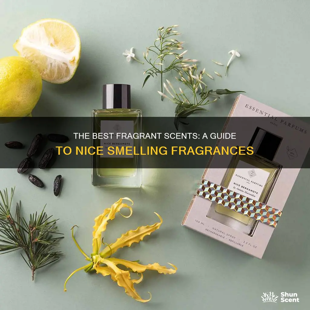 what fragrances are really nice smelling