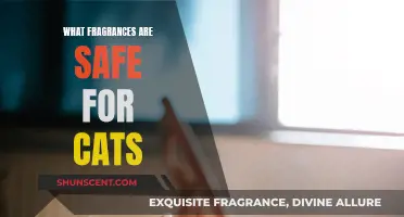 Choosing Cat-Safe Fragrances: A Purr-fect Guide for Owners