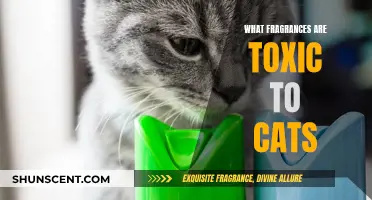 Aromatic Hazards: Unveiling Cat-Safe Scents