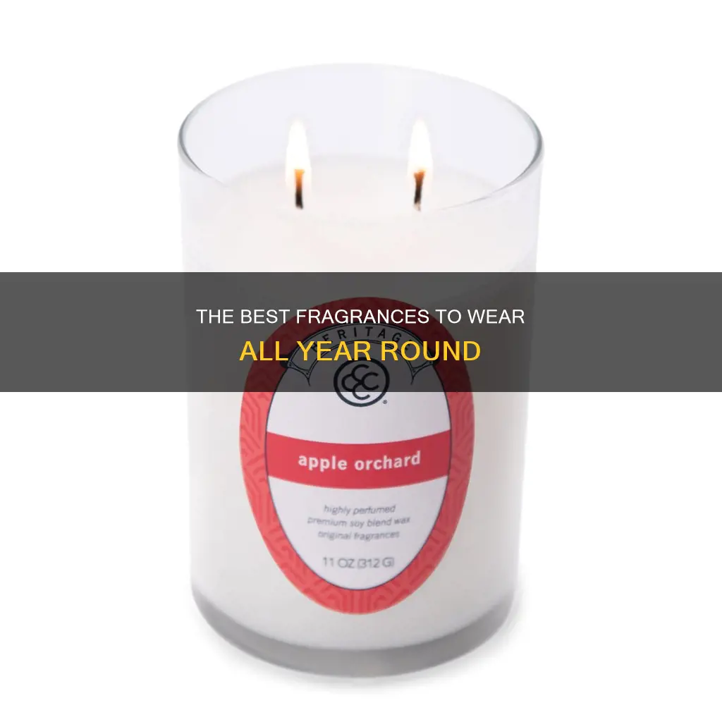 what fragrances can younwear all year round