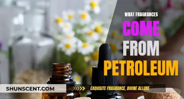 The Surprising Scents of Petroleum: A Fragrant Journey