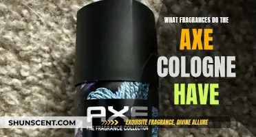 Axe's Fragrance Collection: Exploring Their Signature Scents