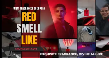Polo Red: Exploring Similar Fragrances and Their Notes