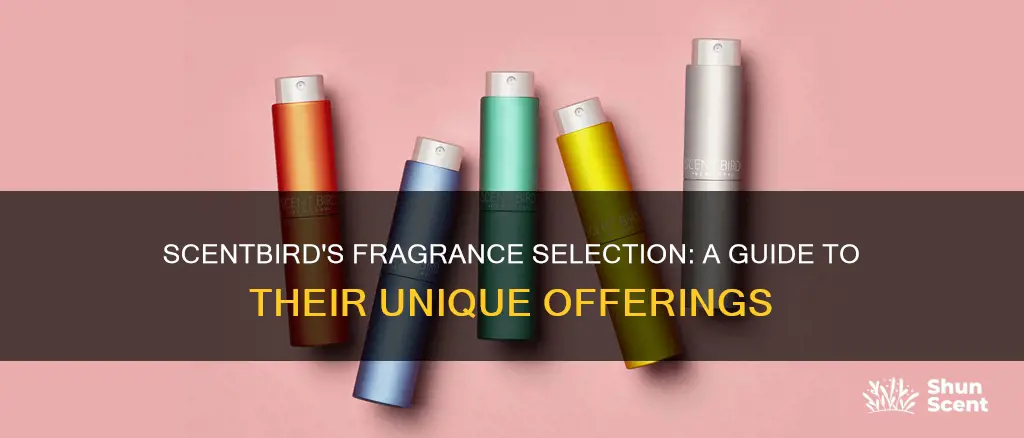 what fragrances does scentbird offer