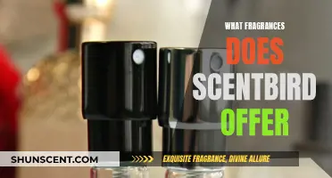 Explore Scentbird's Fragrance Offerings: A Comprehensive Guide