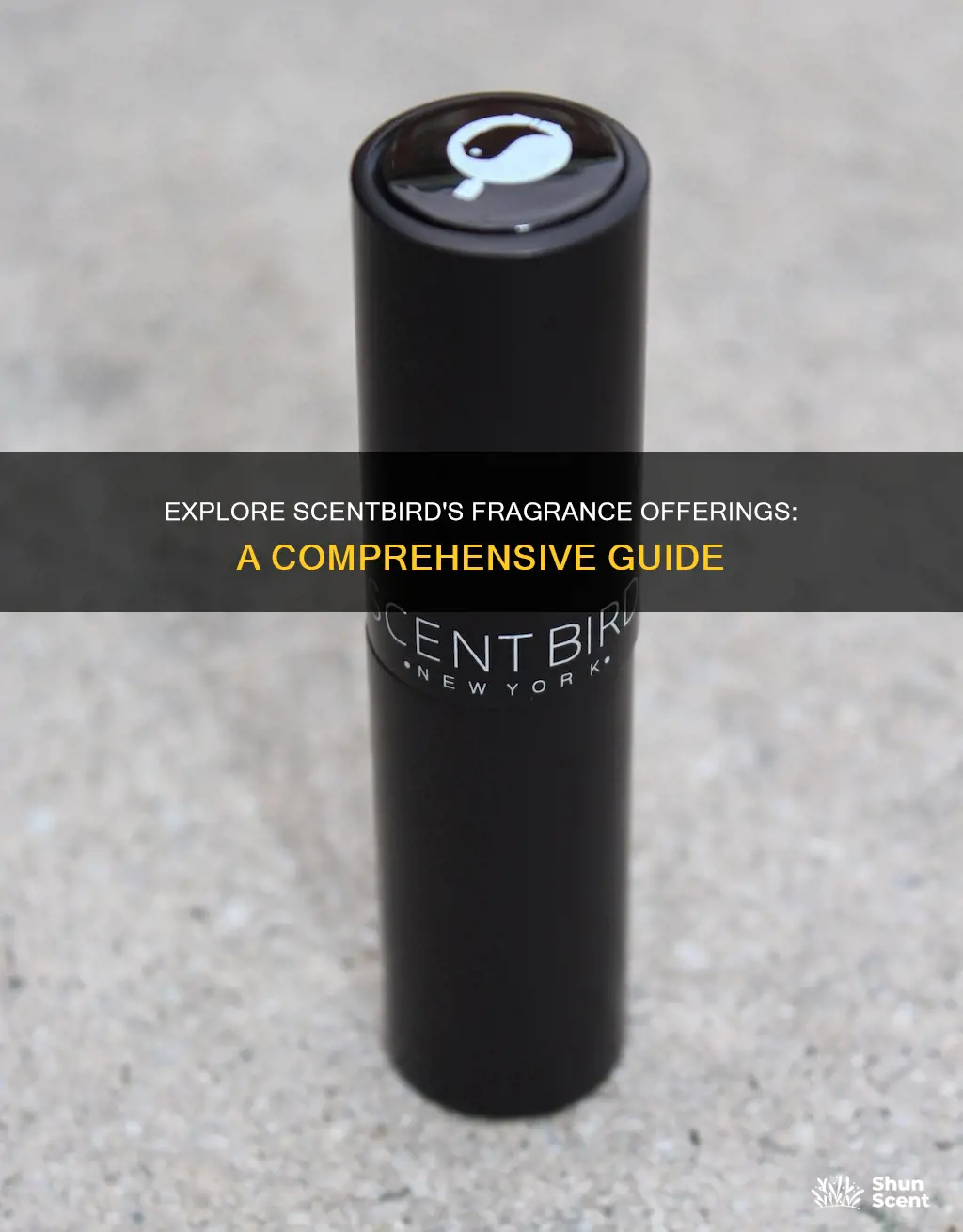 what fragrances does scentbird offer