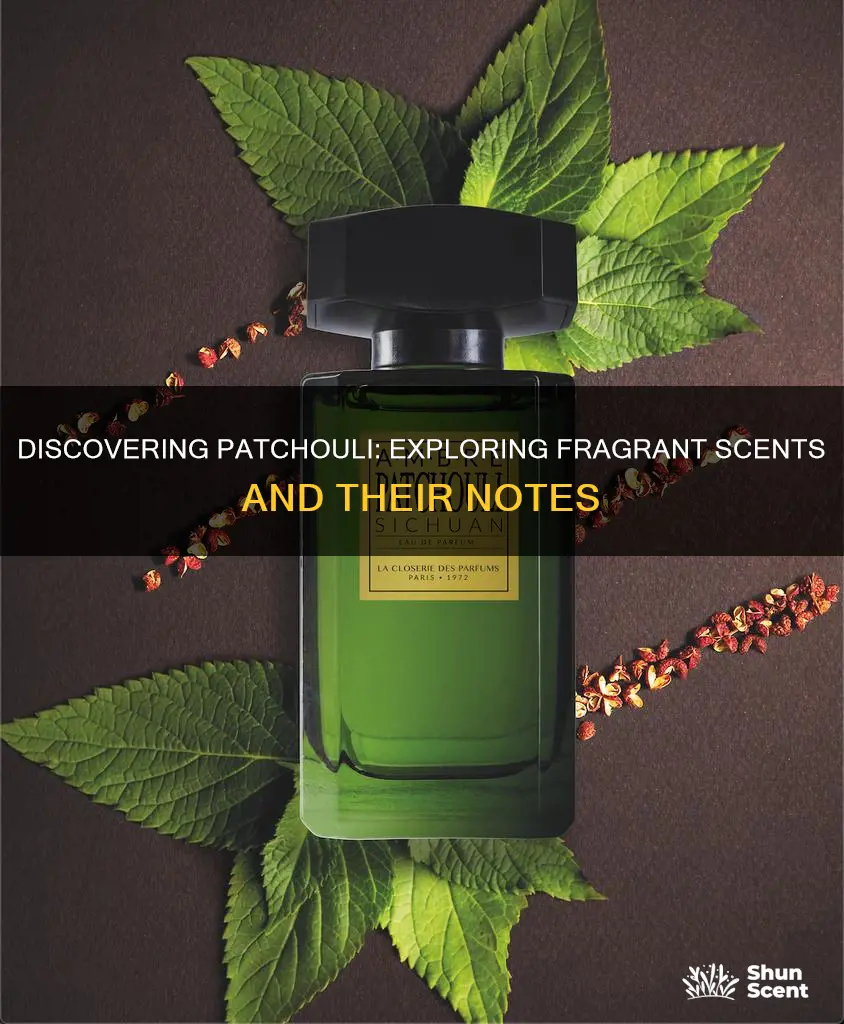 what fragrances have patchouli