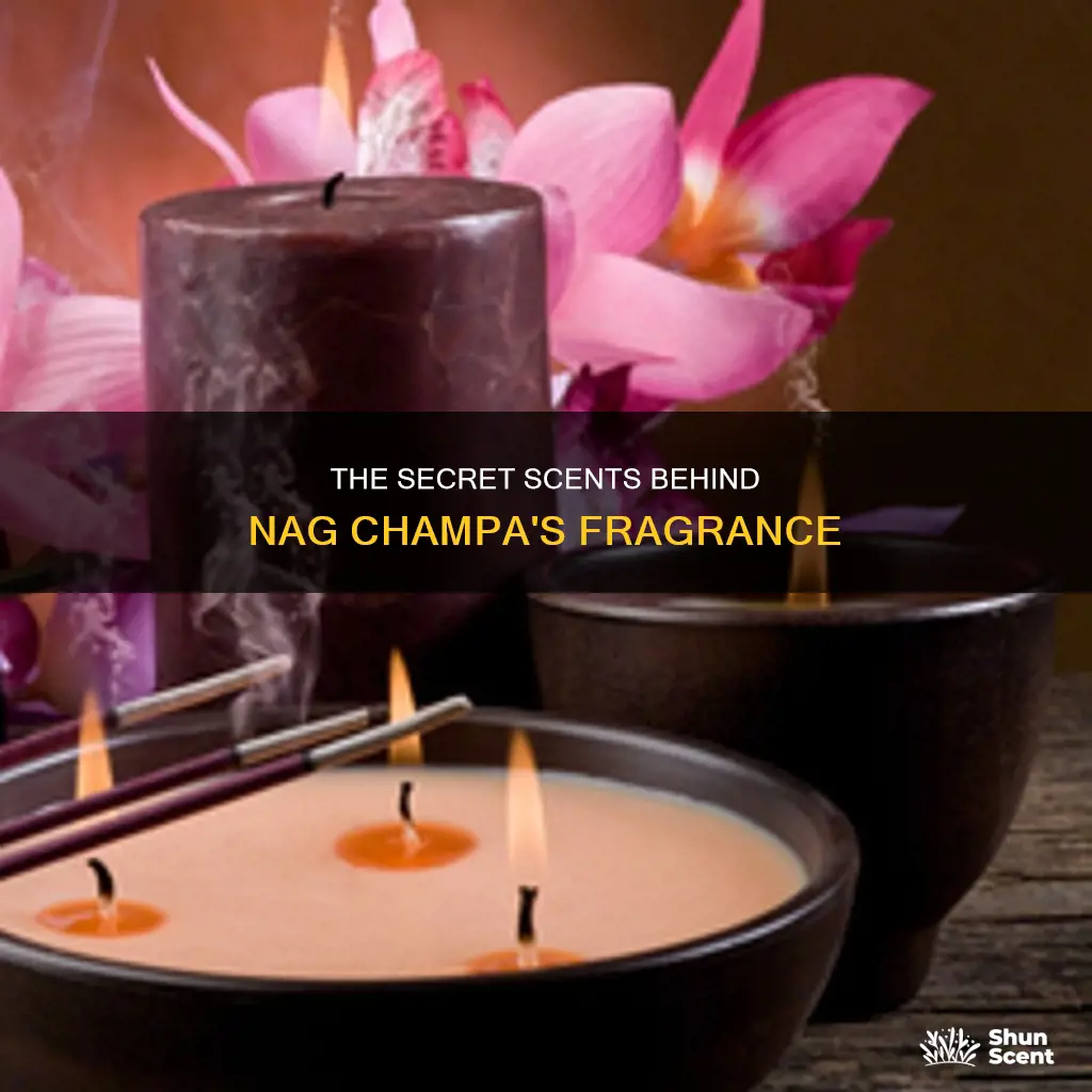 what fragrances make nag champa