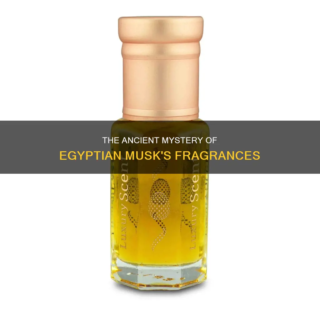 what fragrances make up egyptian musk