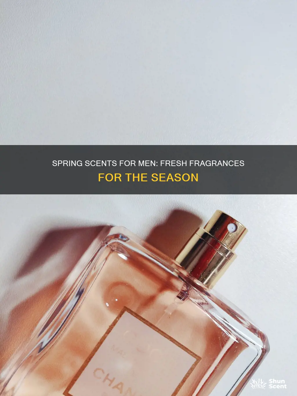 what fragrances spring men