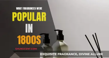 The Scents of the 19th Century: Exploring Vintage Fragrances