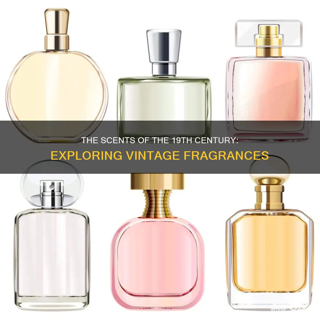 what fragrances were popular in 1800s