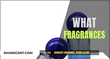 The Fragrance Guide: Choosing Scents for Your Personality
