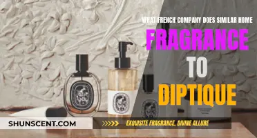French Fragrance Alternatives to Diptyque: Discover Similar Scents