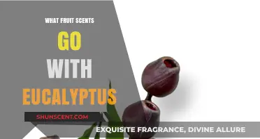 Fresh Fusion: Fruit Scents That Perfectly Complement Eucalyptus