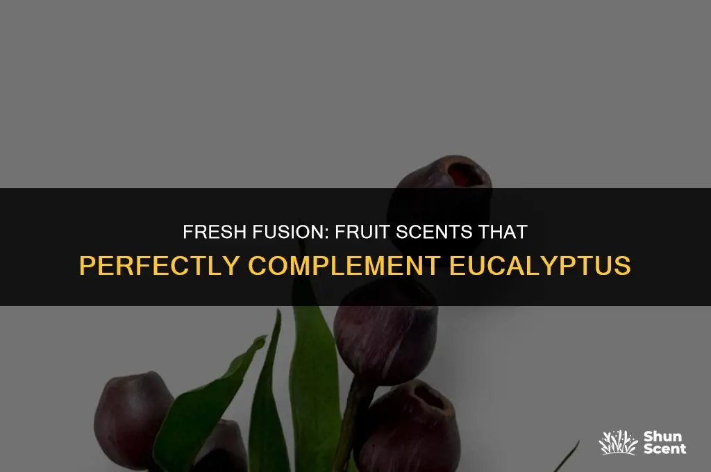 what fruit scents go with eucalyptus