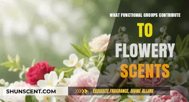 Nature's Perfume: Exploring Functional Groups Behind Flowery Scents