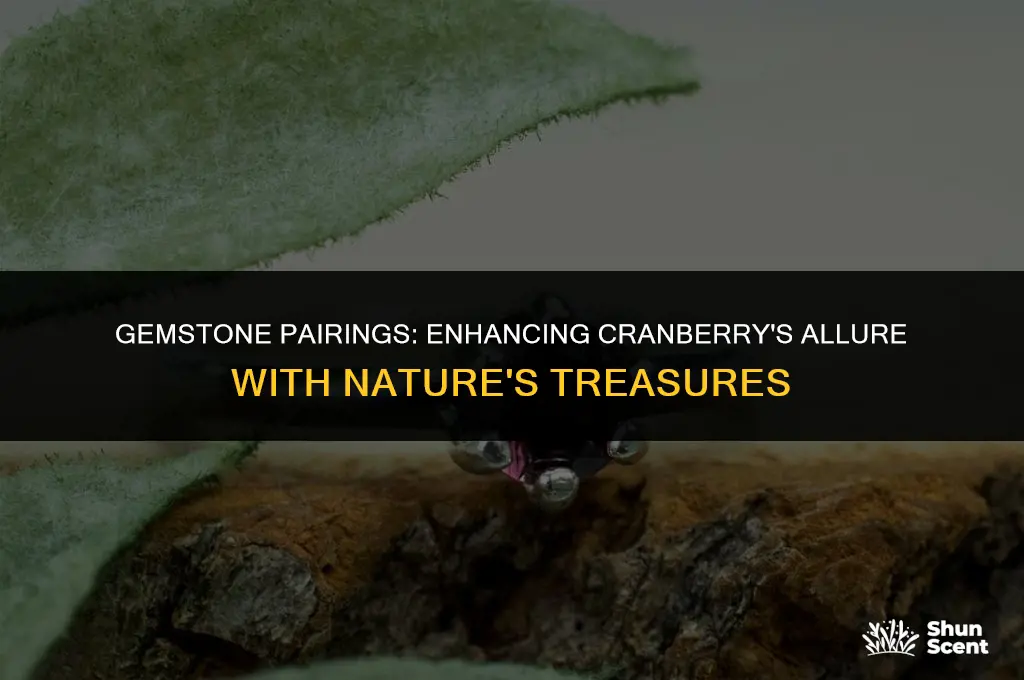 what gemstones pair with the scent cranberry