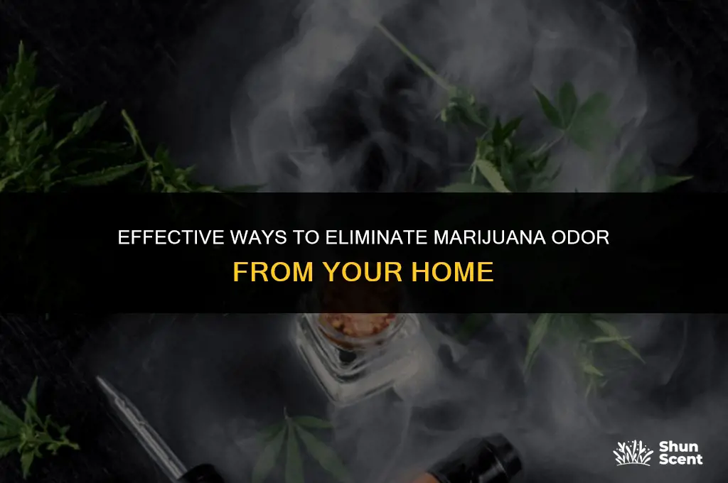 what get rid of marijuan odor in house