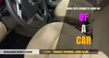 Fresh Air Ahead: Removing Cigarette Odor from Your Car