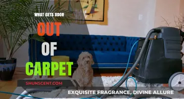 Freshen Up Your Home: Effective Ways to Eliminate Carpet Odors