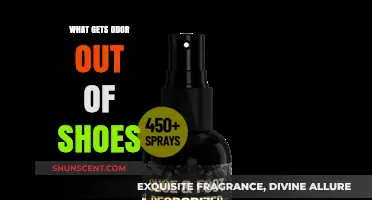Freshen Up Your Footwear: A Guide to Odor-Free Shoes