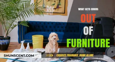 Freshen Up Your Space: Effective Tips to Eliminate Furniture Odors