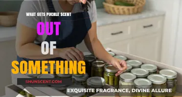 Banishing Pickle Odor: Effective Methods to Neutralize the Pungent Scent