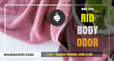 Freshen Up: Natural Remedies to Combat Body Odor