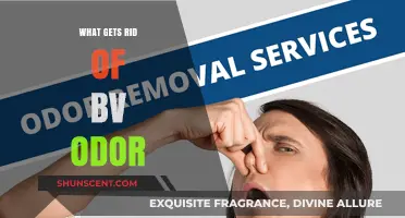 Fresh and Clean: Effective Ways to Eliminate BV Odor