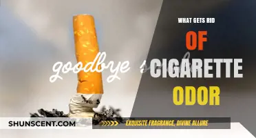 Freshen Up: Effective Ways to Eliminate Cigarette Odor