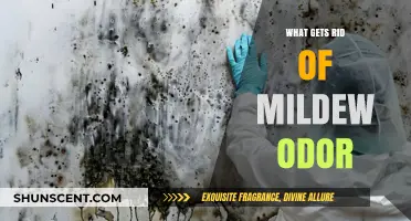 Banish Mildew Odor: Effective Solutions for a Fresh Home