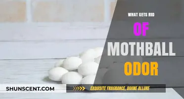 Freshen Up: Effective Ways to Eliminate Mothball Odor