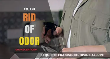 Freshen Up: Effective Ways to Eliminate Unpleasant Odors