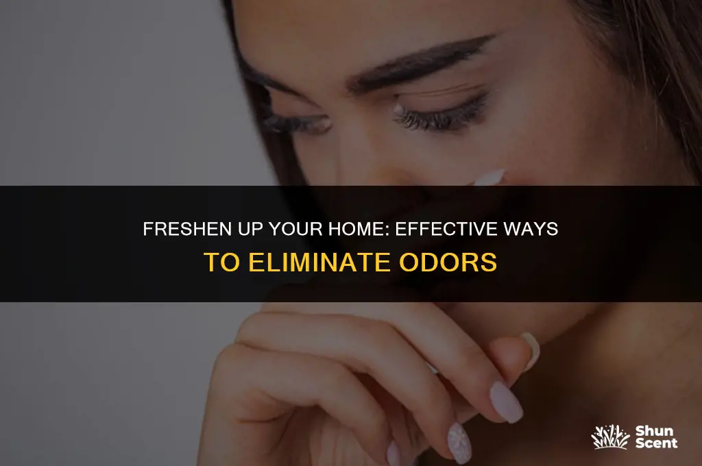 what gets rid of odors in house