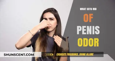 Fresh and Clean: A Guide to Eliminating Penis Odor