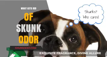 Effective Ways to Eliminate Skunk Odor: A Comprehensive Guide