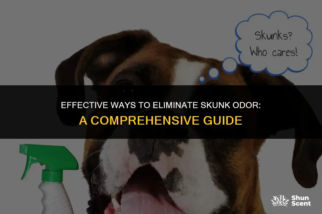 what gets rid of skunk odor