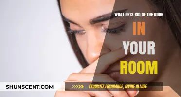 Freshen Up Your Space: Effective Ways to Eliminate Room Odors