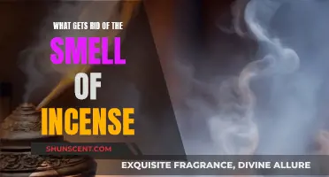 Incense Odor Removal: Effective Methods for a Fresh Space