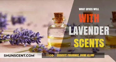 Blossoming Tranquility: Perfect Pairings for Lavender Scents
